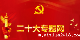 二十大专题网